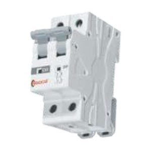 Double Pole MCB C Type 10 KA